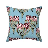 Double Protea Modernized Light Blue Pinks-01