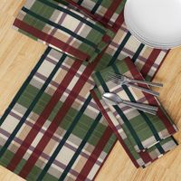 Dover Plaid_green holiday_22MB