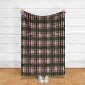 Dover Plaid_green holiday_22MB