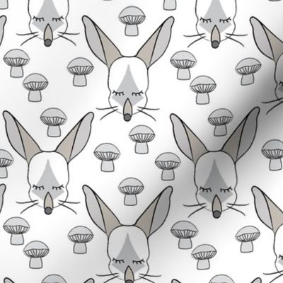 bilby-faces-and-mushrooms-on-white