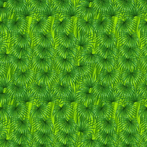 Coconut Palm Leaves on Green Grass