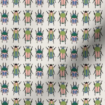 Rows of Beetles