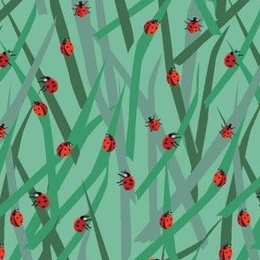 Lady Bugs in the Grass