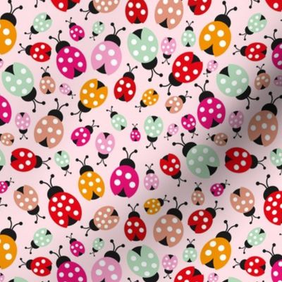 Colorful lady bugs illustration pattern for girls