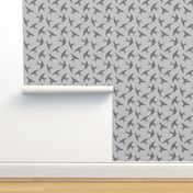 solid-swallows-grey-on-grey