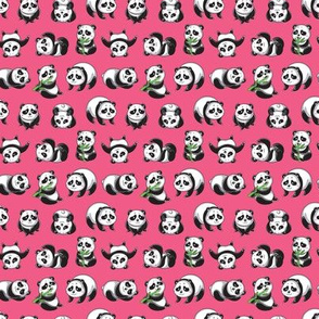 Pandamonium_pink