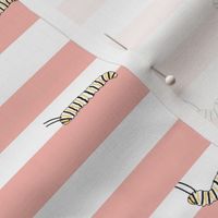 Caterpillar Stripes