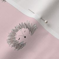 Hedgehog in Pale