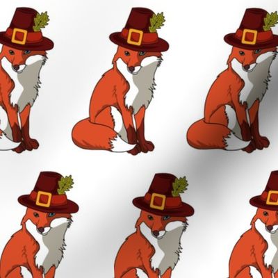 Fox Pilgrim 