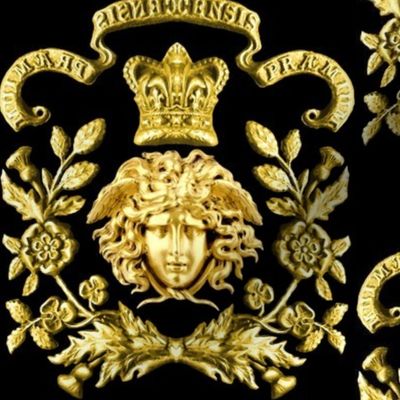 3 medusa gold flowers floral leaves leaf crown baroque victorian coat of arms clover heraldry crest black banners rococo royalty frames motto gorgons Greek Greece mythology   inspired   