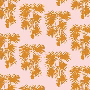 Palms Silhouette
