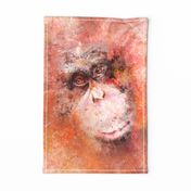 FOR THE LOVE OF THESE EYES NO PALM TREE OIL IN MY KITCHEN TEA TOWEL ORANGUTAN