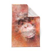 FOR THE LOVE OF THESE EYES NO PALM TREE OIL IN MY KITCHEN TEA TOWEL ORANGUTAN