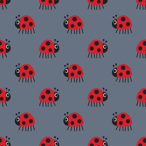 Ladybird on grey