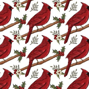 Cardinal christmas - birds