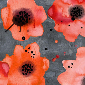poppies on dark gray large scale