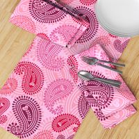 Paisley play pink hearts Wallpaper