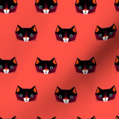 Cats on red