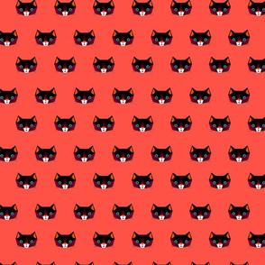 Cats on red