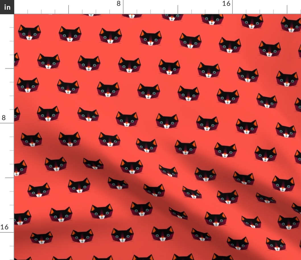 Cats on red