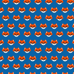 Foxes on blue