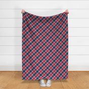 Gingham navy red purple retro nautical check