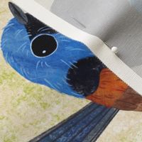 Fairy Wrens, hand painted colourful bird teatowel