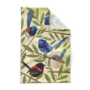 Fairy Wrens, hand painted colourful bird teatowel