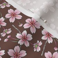 Sakura - Chocolate