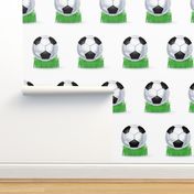 Soccer Balls on White