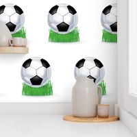 Soccer Balls on White