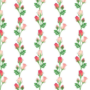 Roses Pink Red and Vines on White