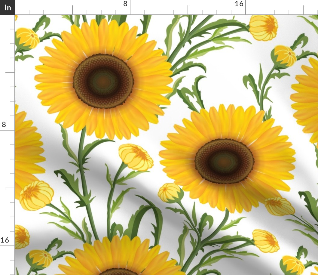 Sunflowers Large on White