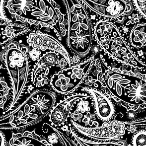 paisley linea 2