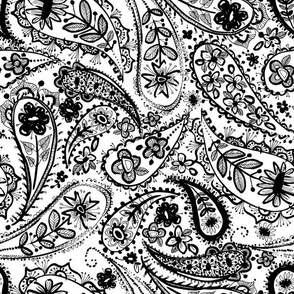 paisley linea