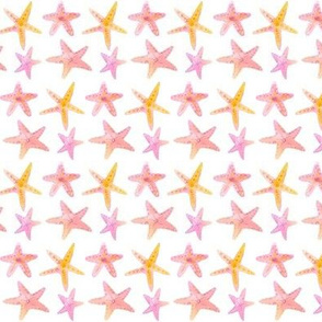 starfish pink mini