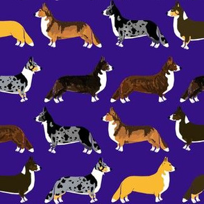 corgi fabric - cute corgi fabric, corgi fabric by the yard, dog fabric, dog fabric by the yard, dogs, dog coat colors, corgi coat colors, cute dogs 