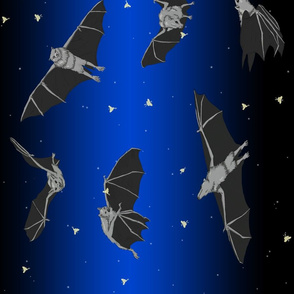 Batty For Bats (& Moths)