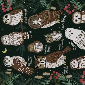 Owls Found in Alaska Tea Towel