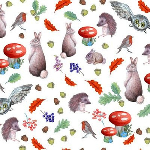 Red mushroom, Rabbit, robin & hedgehog