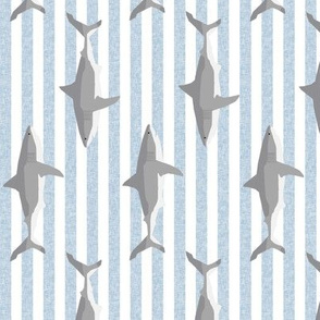 shark stripes ocean animals sharks blue