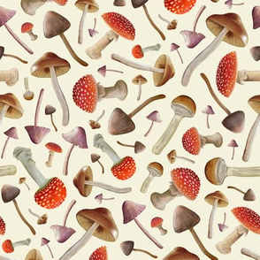 Marvelous Magic Mushroom Scatter on Cream