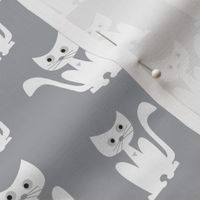 Cats on grey