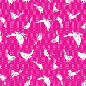 Garden Birds shadows hot pink