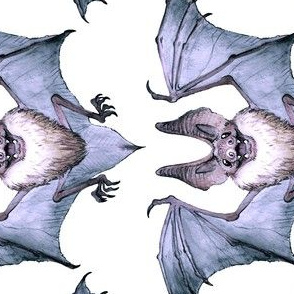 Watercolor Bat
