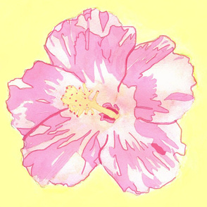Pink Hibiscus with Yellow