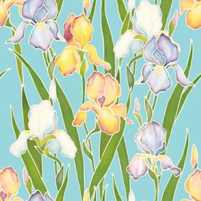 Irises on blue