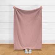 Dusty Rose Pink Solid Coordinate Color