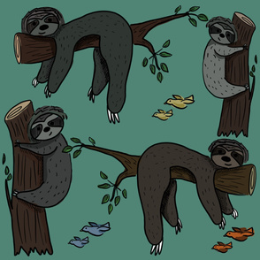 Sleepy Sloths on Medium Teal