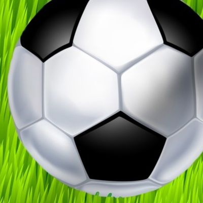 Soccer Ball on Tall Green Grass